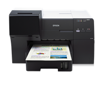 Epson B-310N