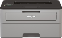 Brother HL-L2350DW