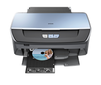 Epson Stylus Photo R265