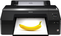 Epson SureColor SC-P5000 STD Spectro
