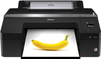 Epson SureColor SC-P5000 Violet