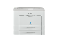 Epson WorkForce AL-M300DTN
