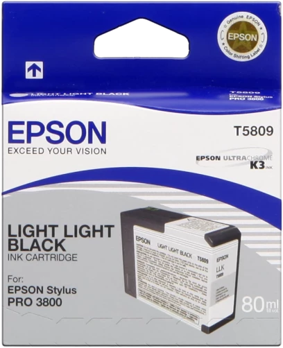 Original Epson C13T580900 / T5809 lightlightblack Tinte 80ml