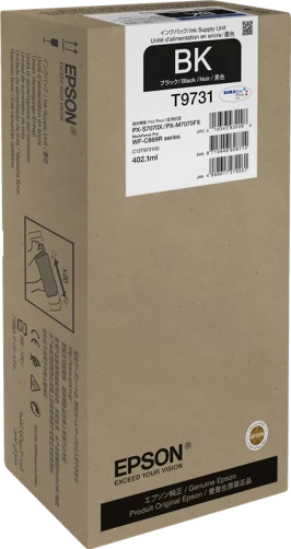 Original Epson C13T97310N / T9731 Tinte Schwarz bis zu 22500 Seiten