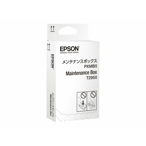 Original Epson C13T295000 Zubehör für Drucker 